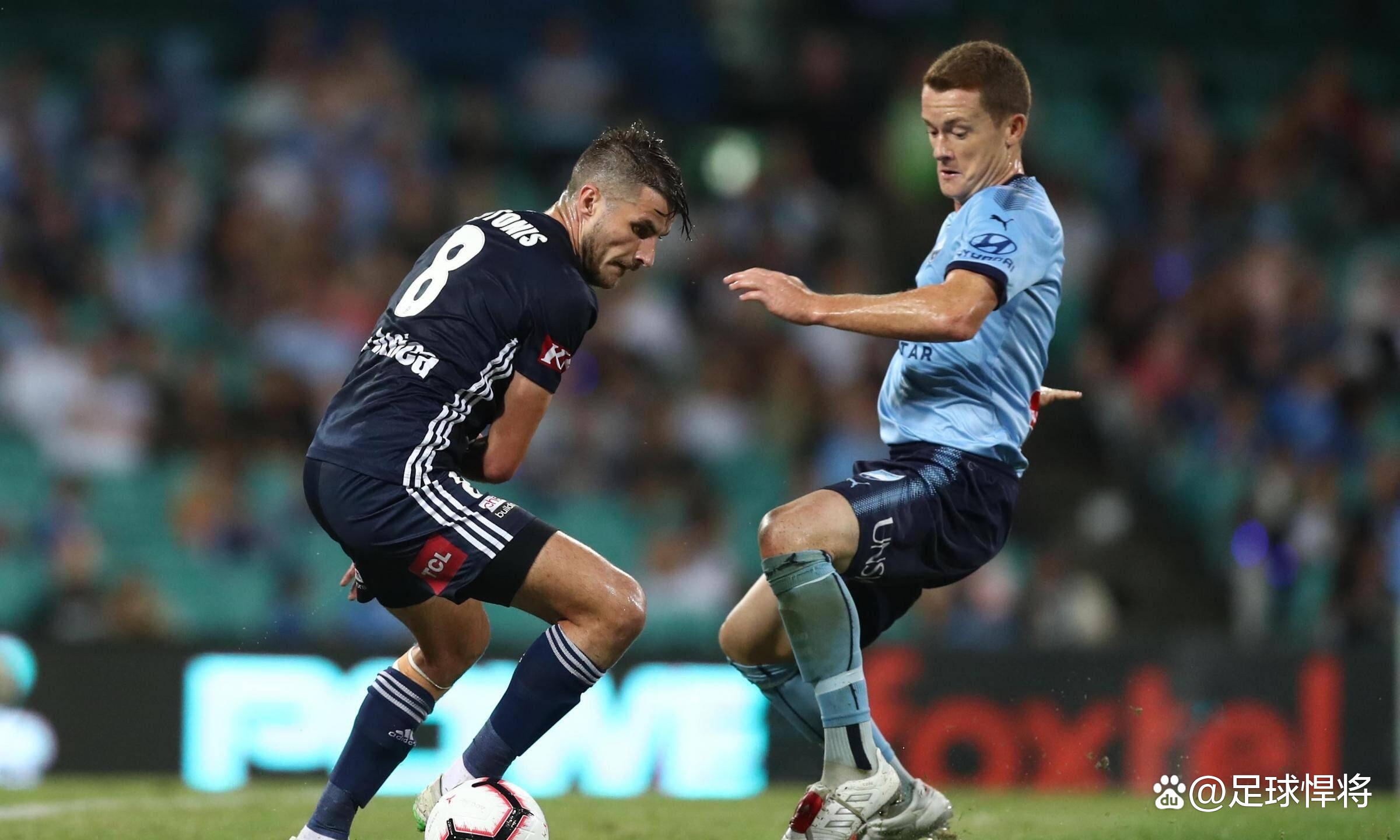 bob体育官网-悉尼FC士气高涨，将迎战极具挑战性的对手的简单介绍